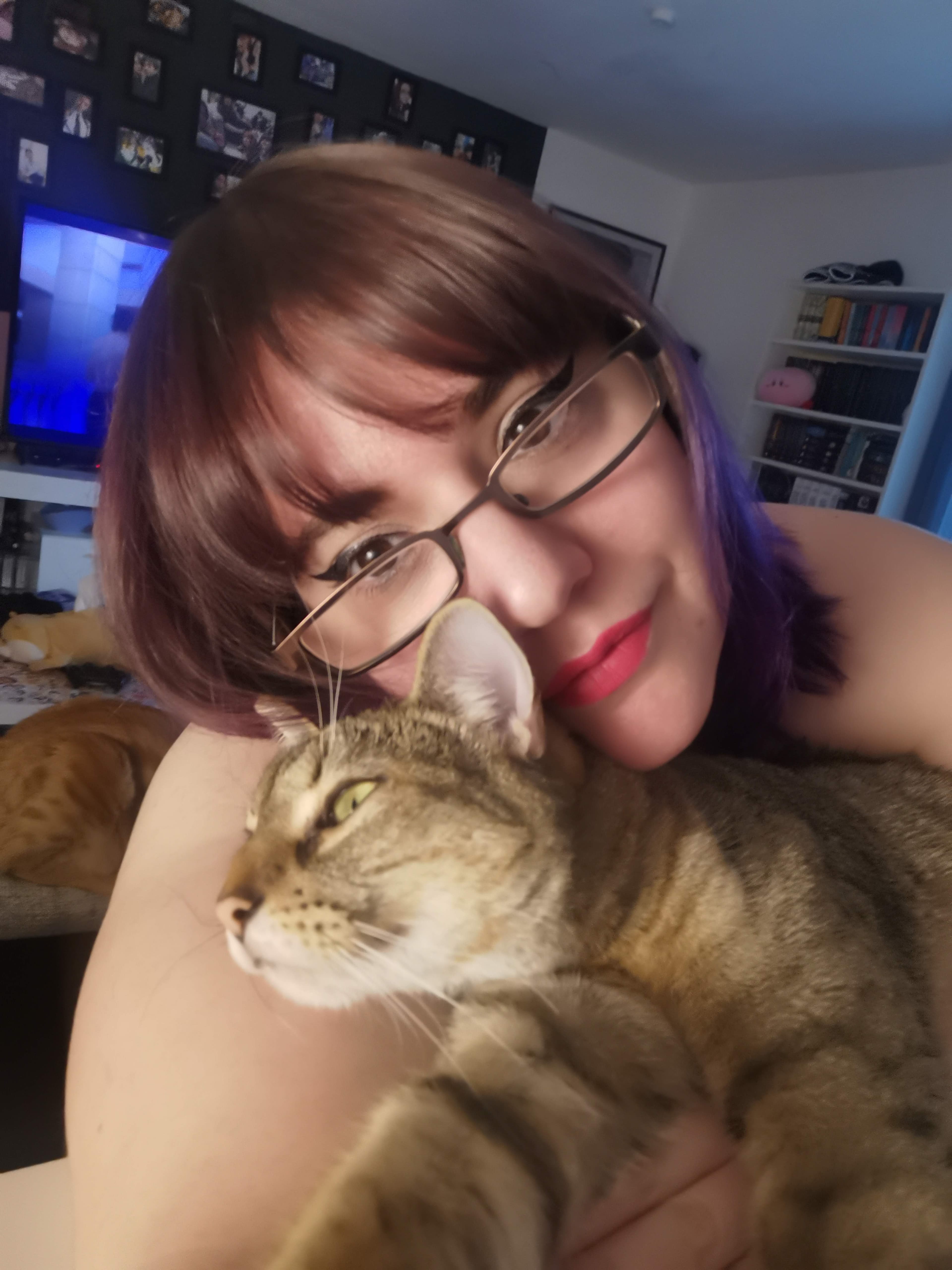 J the Kitten
