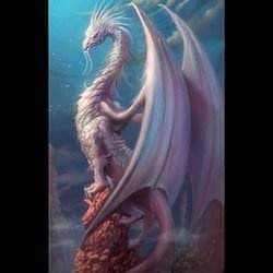 🐲 FEMALE DRAGON 🐲
