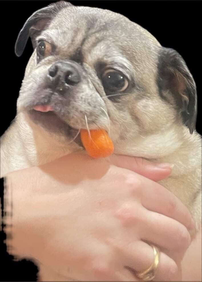 Josie