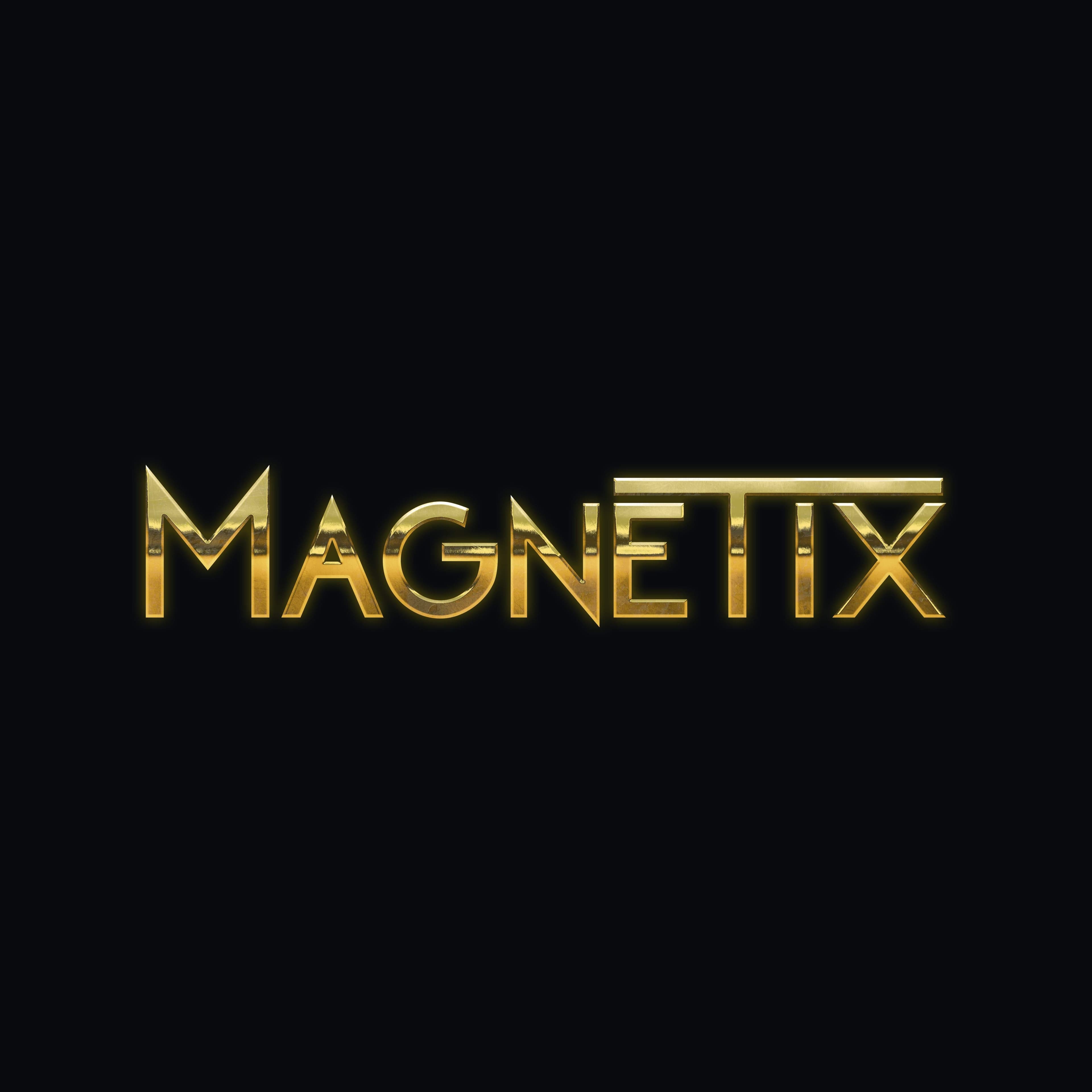 Magnetix Mansion