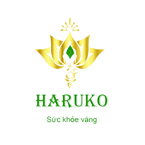 Haruko Việt Nam