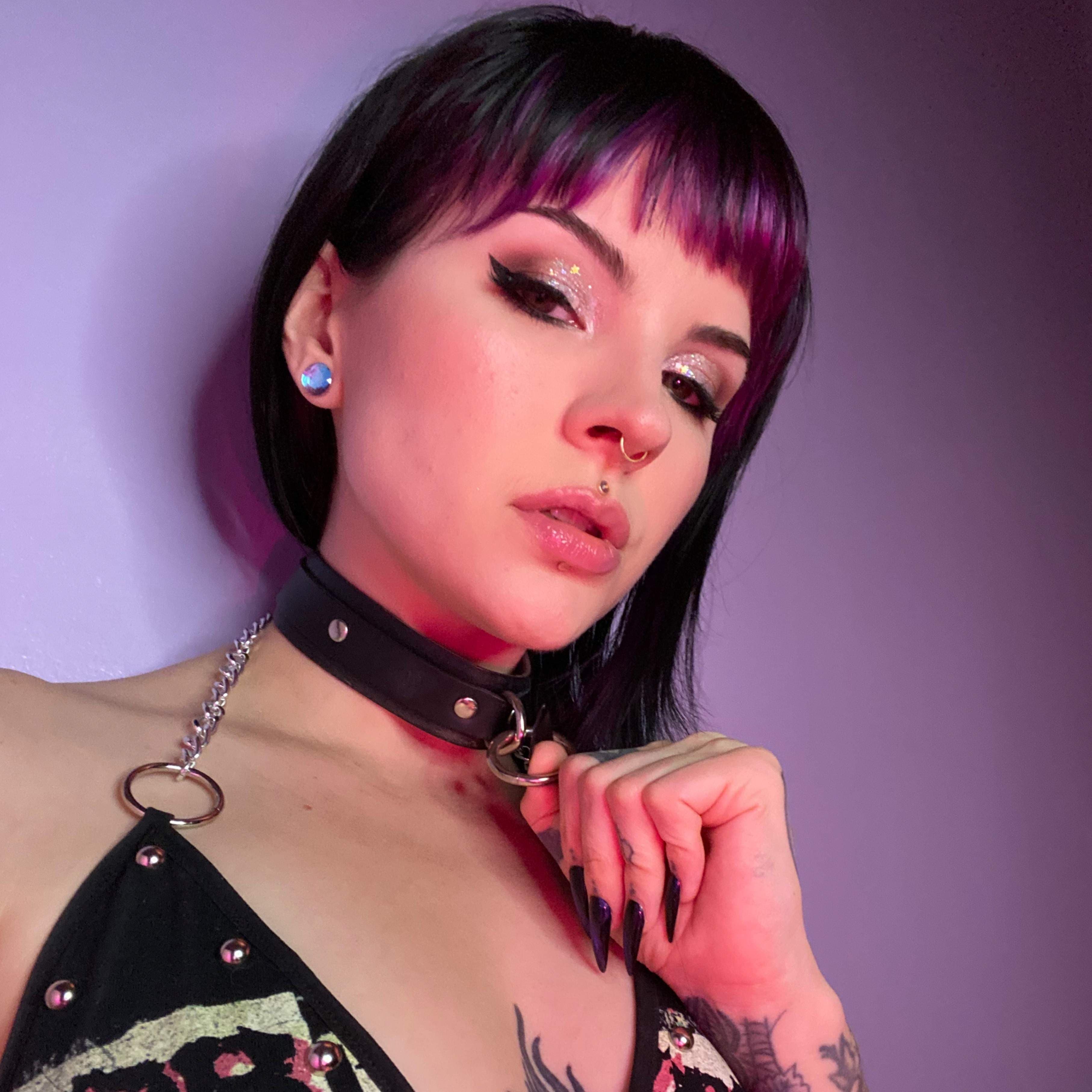 Salem Wolfe VIP 💜