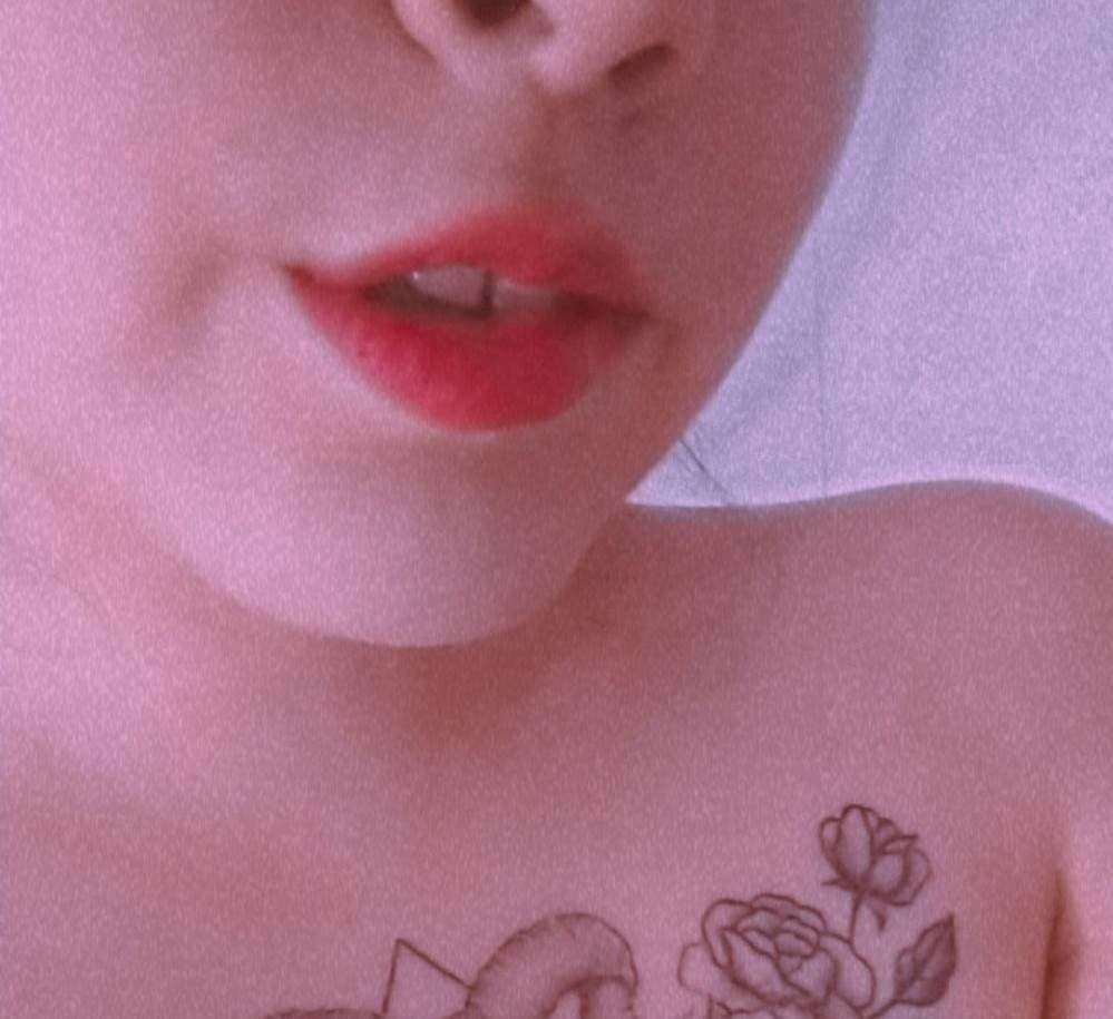 ネコ ~🍑