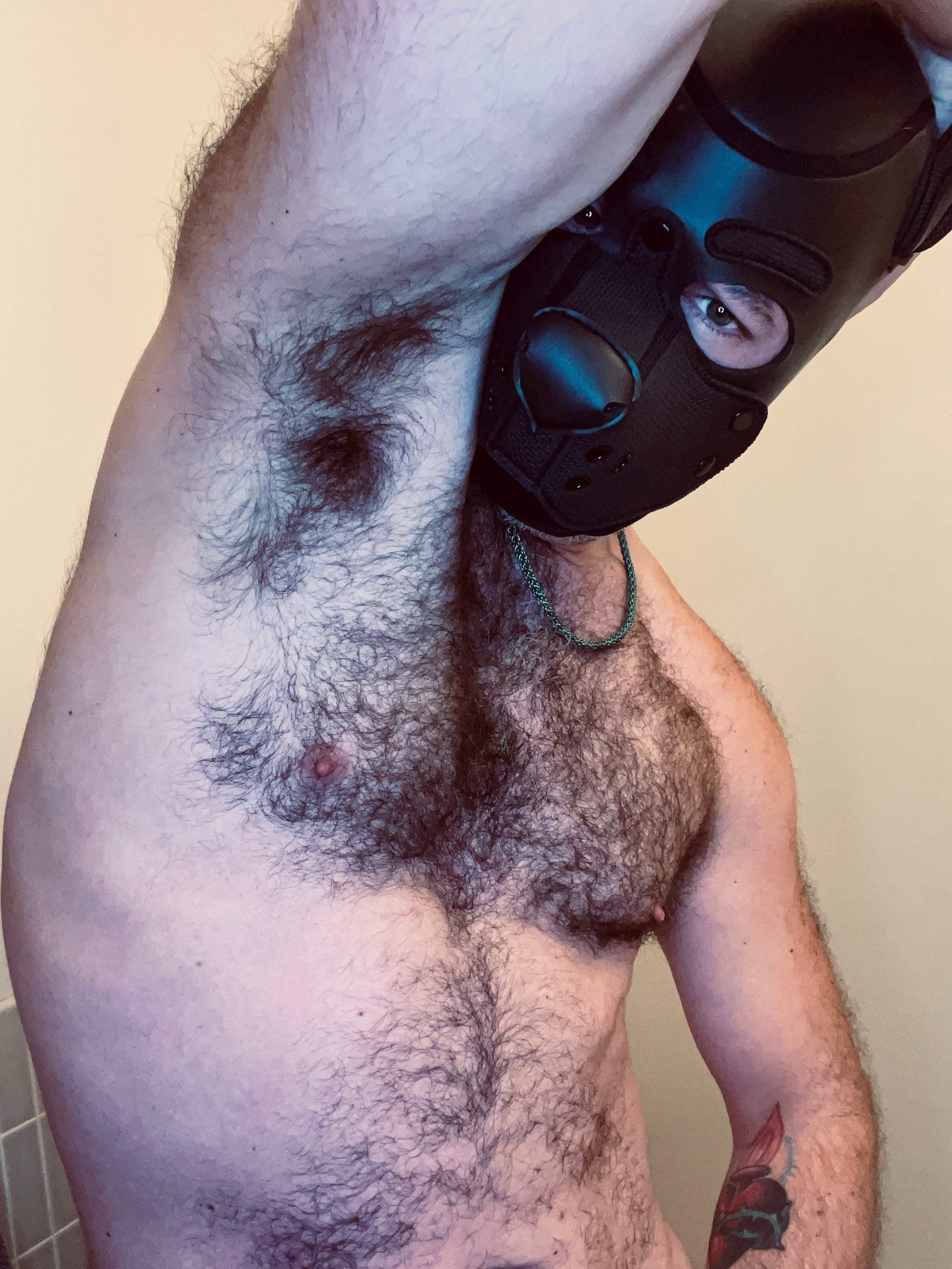 Alpha Wolf Æther