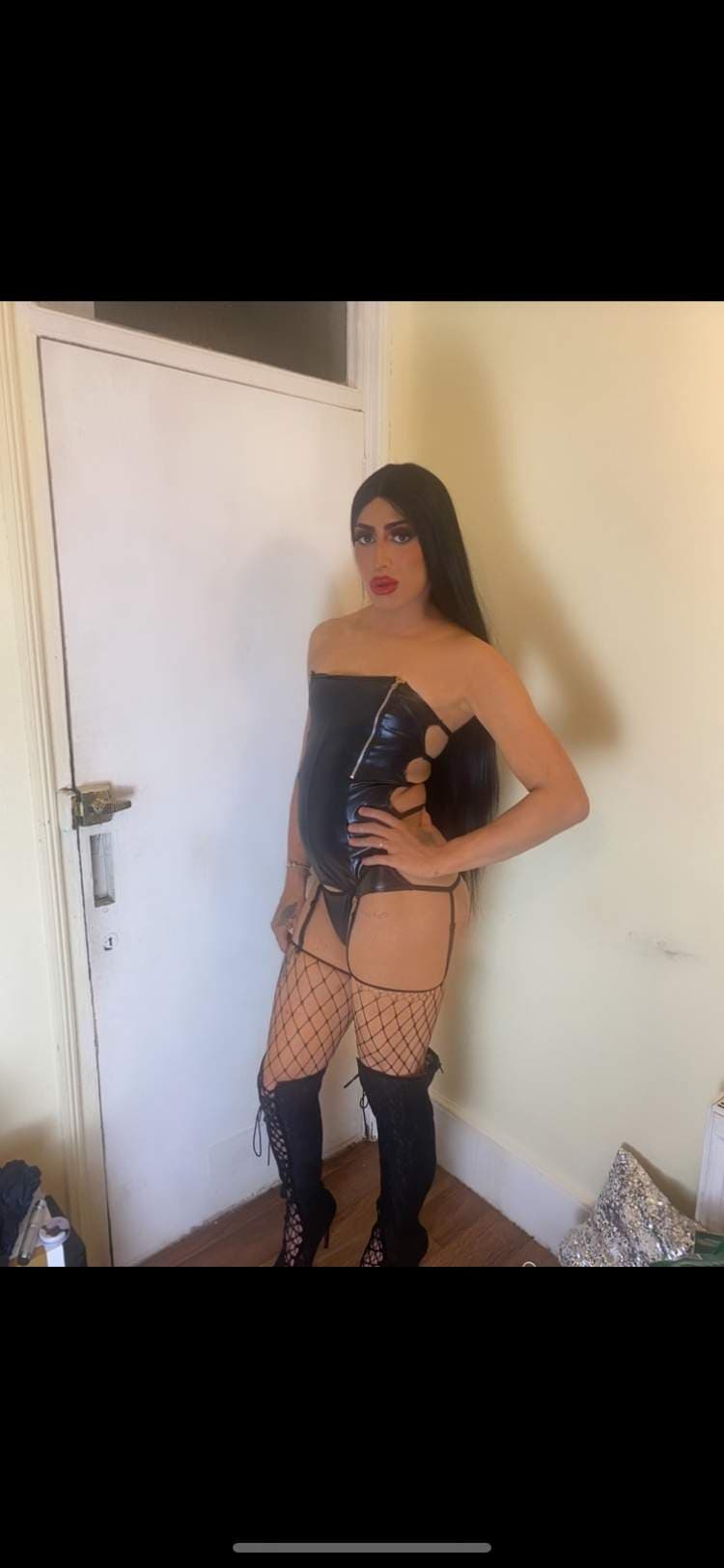 YOUR TRANS FANTASY