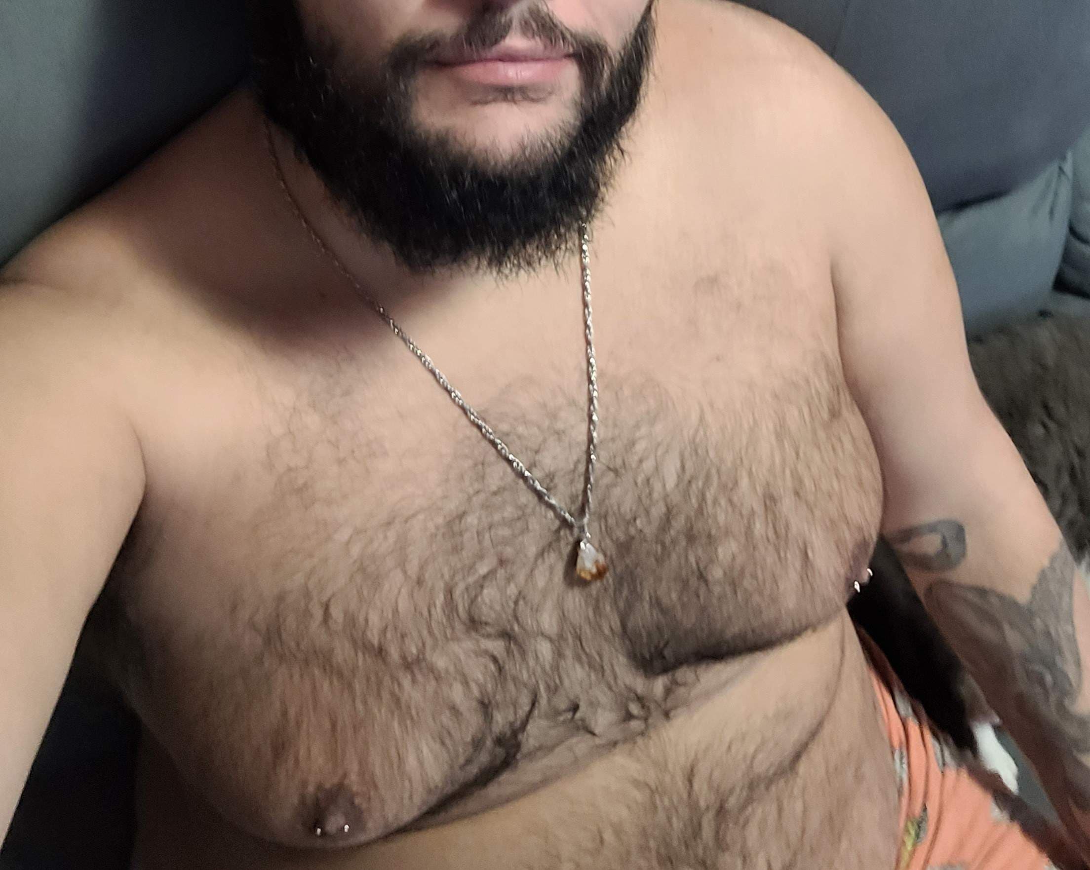 BearCwb