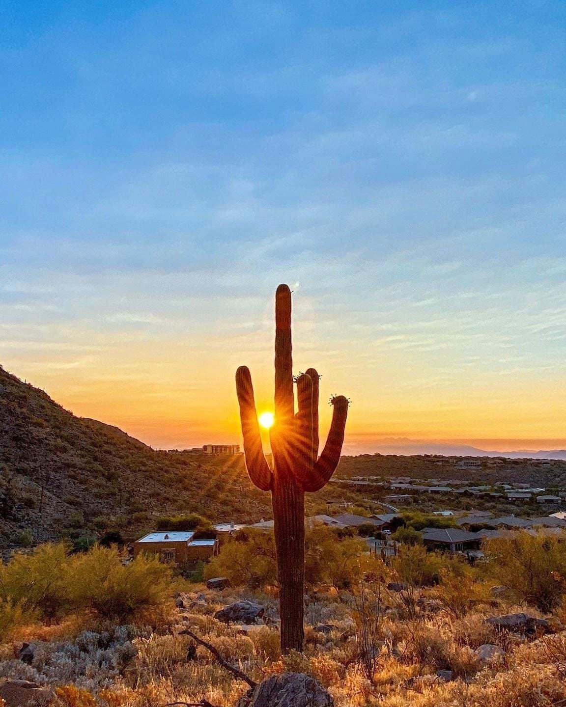 AZ Content Club