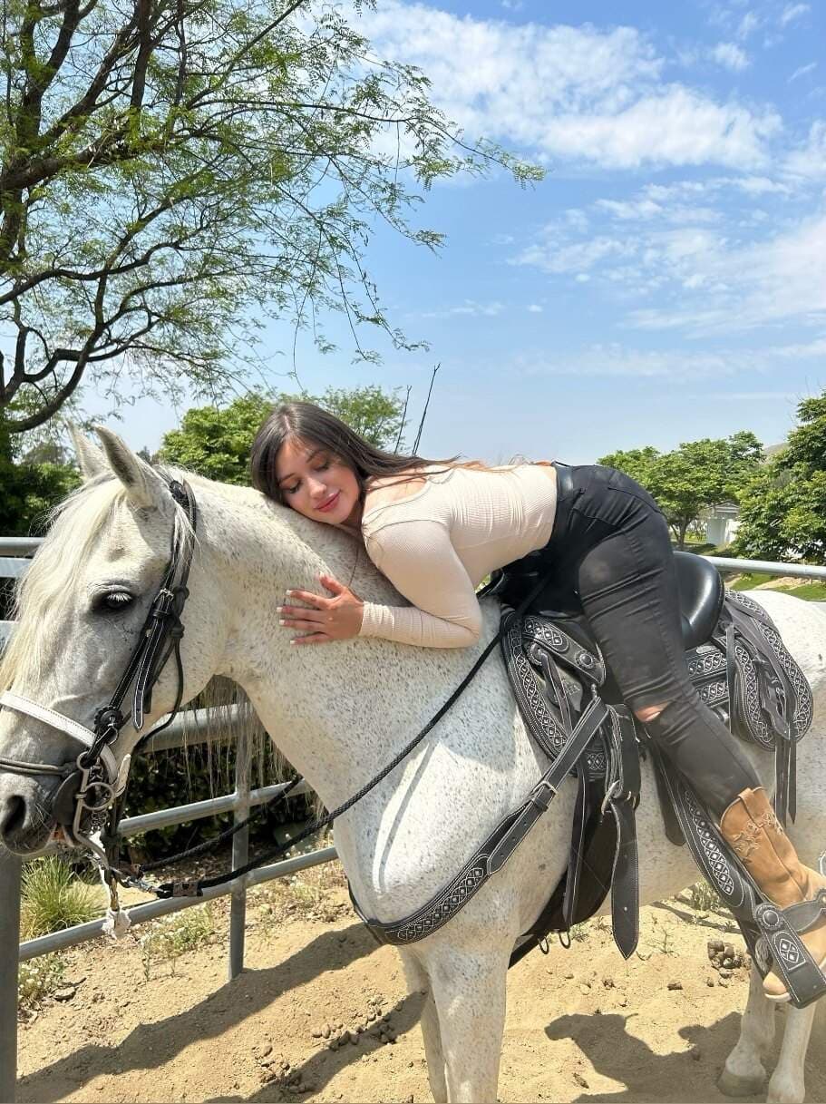 Sugawendy
