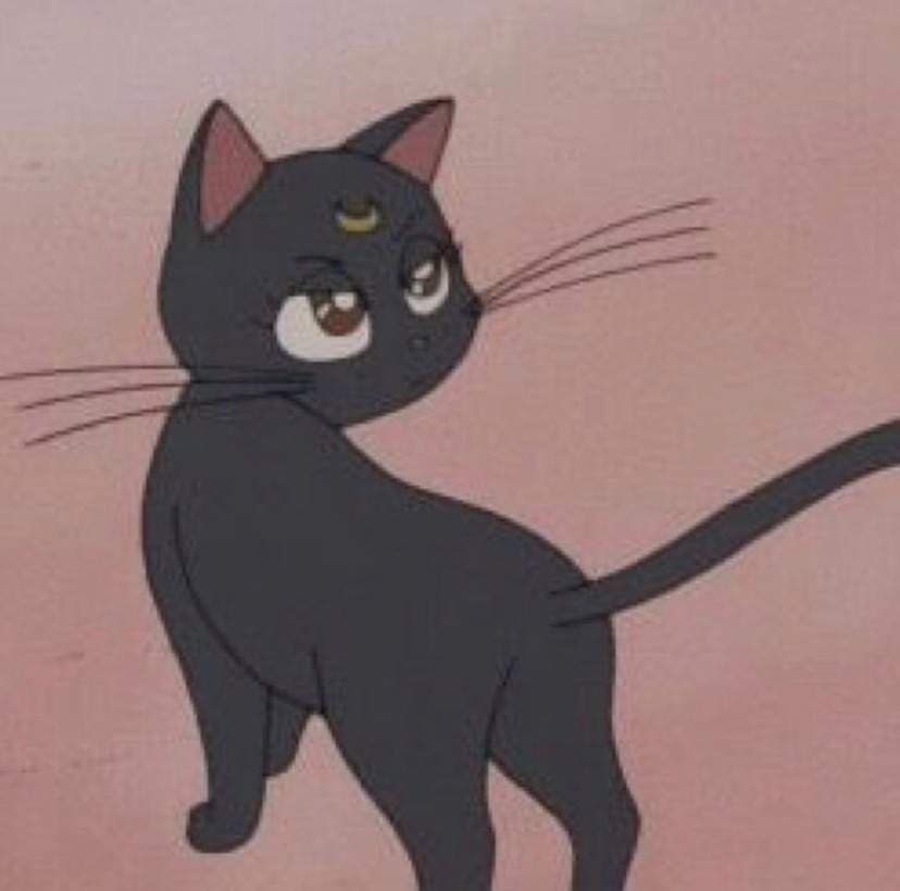 Sad Kat