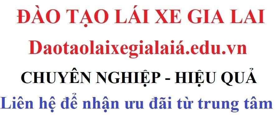 Đào tạo lái xe gia lai