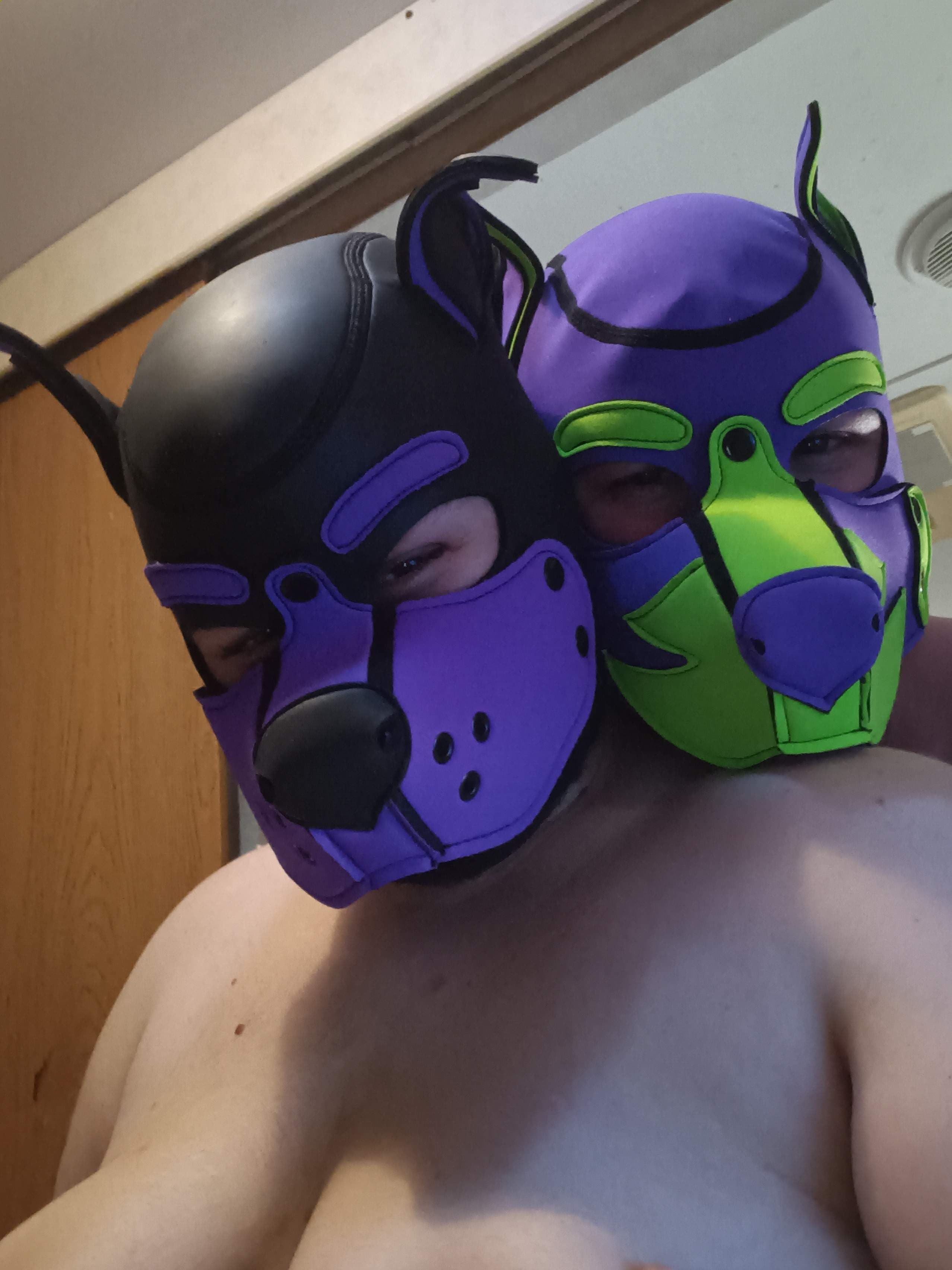 Psychotic Pup Syrus