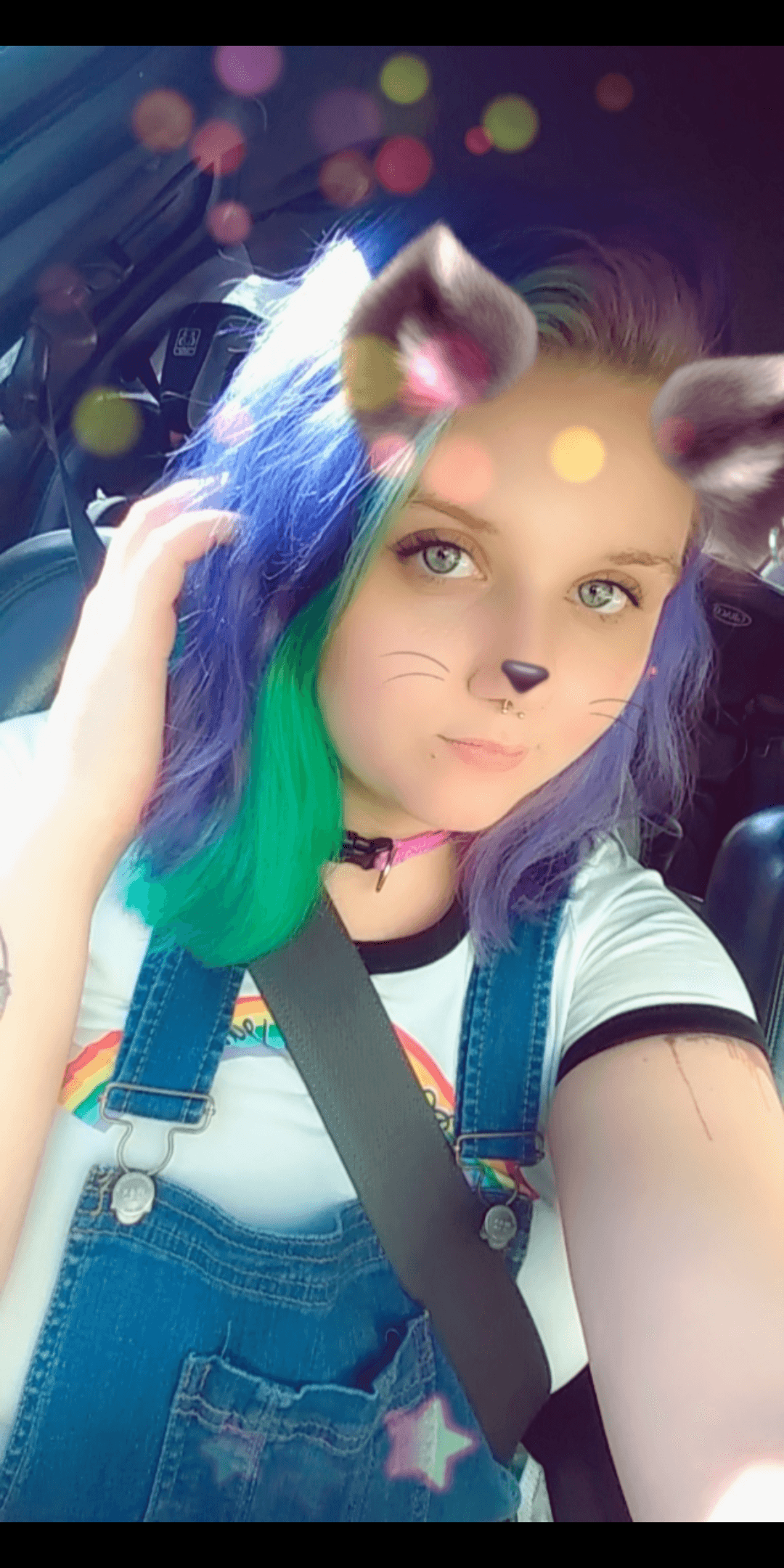 Gatita