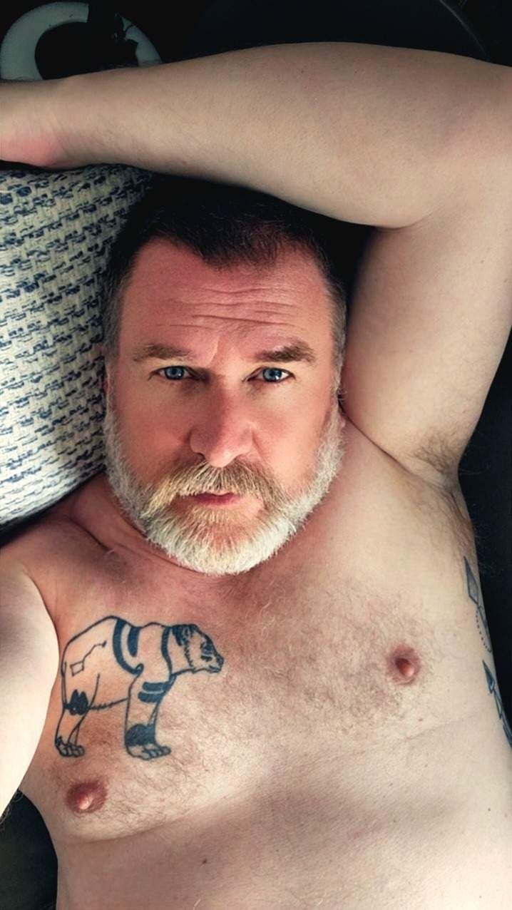 The Daddy Bear Life