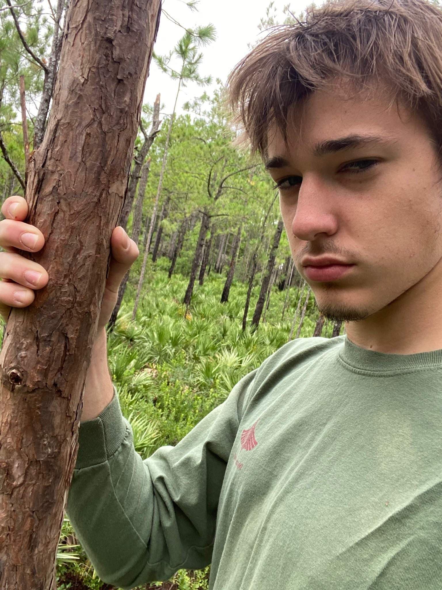 Macntrees