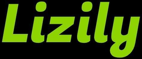 LizilyBusinessListing