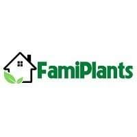 Are Calathea Plants Toxic To Cats Famipl