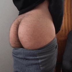 Sponge Cake