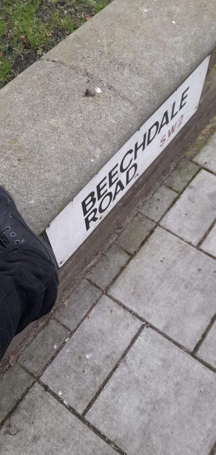 Master Daz