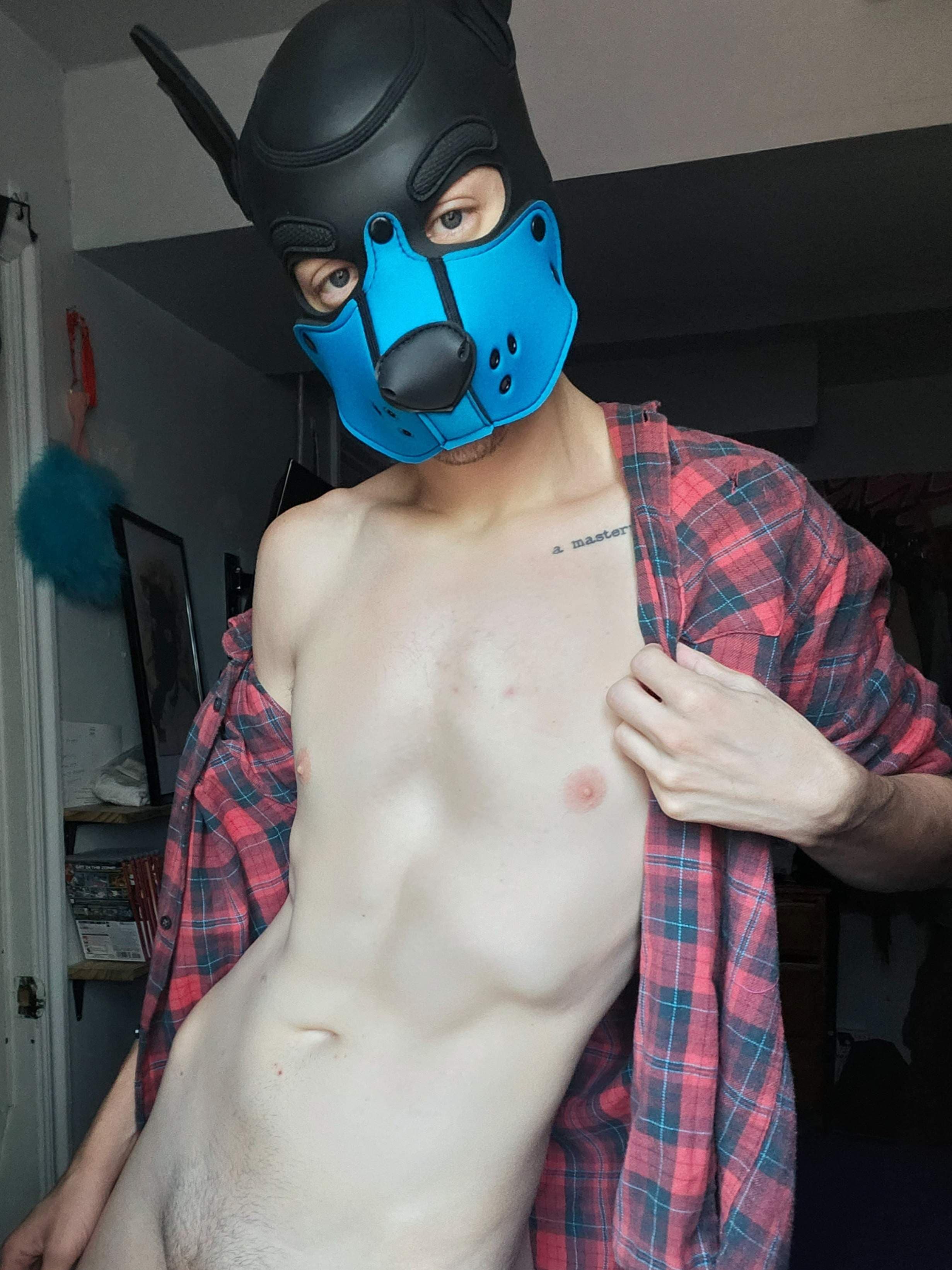 PUP MODA 💜