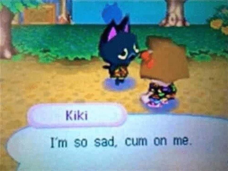 SnM