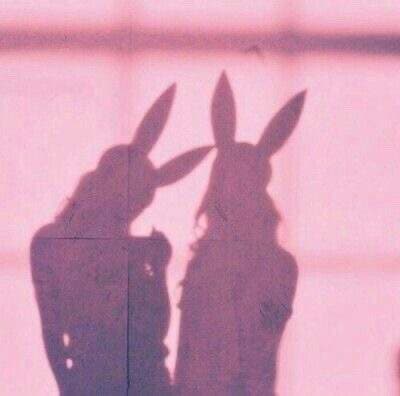 sun bunnii
