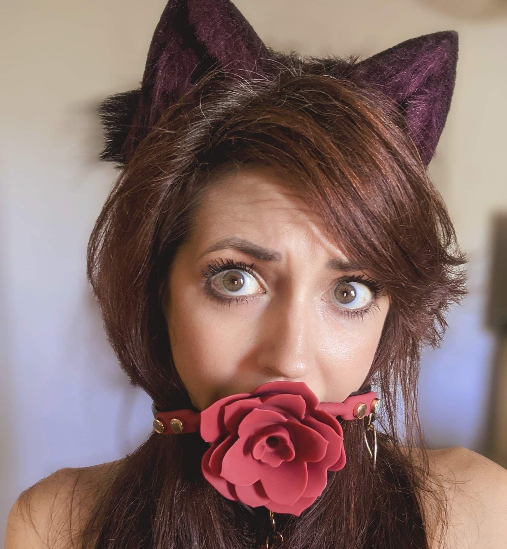 😻 𝕾𝖒𝖎𝖙𝖙𝖊𝖓 𝕶𝖎𝖙𝖙𝖊𝖓 😻