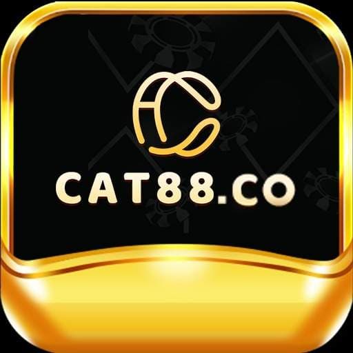 cat88co