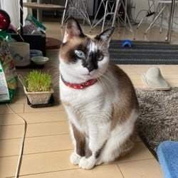青春はクソゲー a.k.a. もんたけ