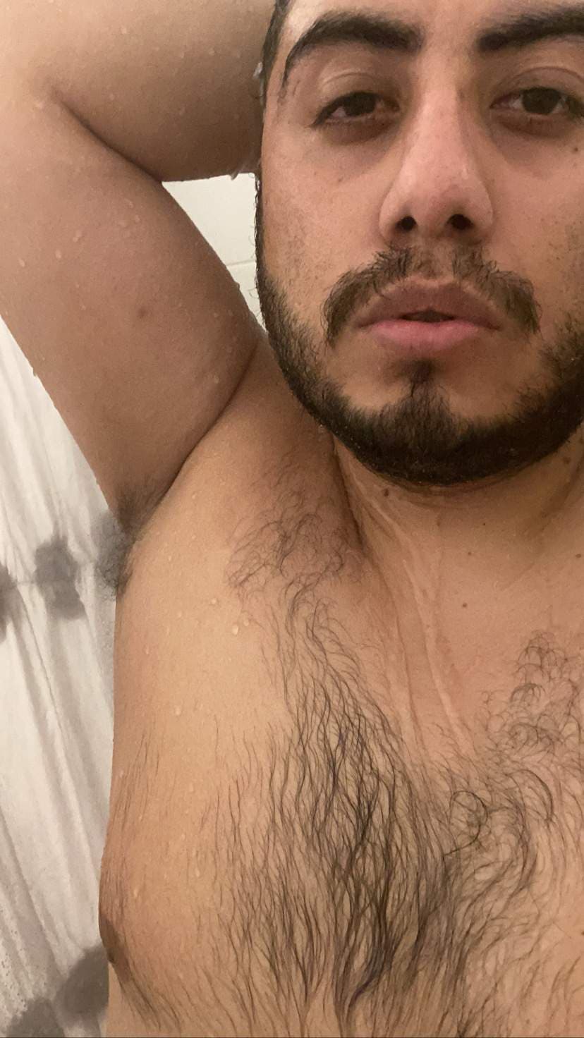 Bussy Bear