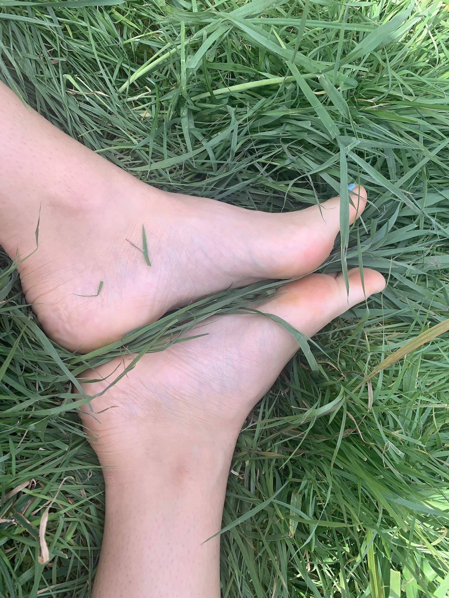 Sarah’s Sole