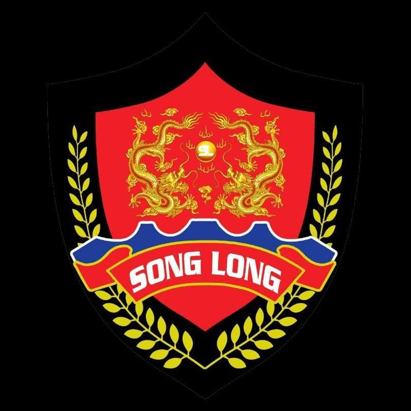 Báo giá dịch vụ bảo vệ Song Long