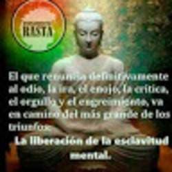 BuFu andres