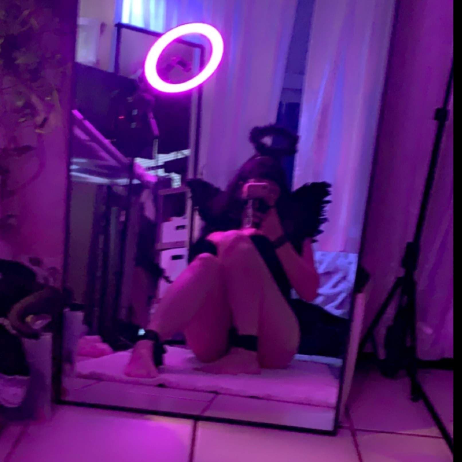 APrettyPetKitty