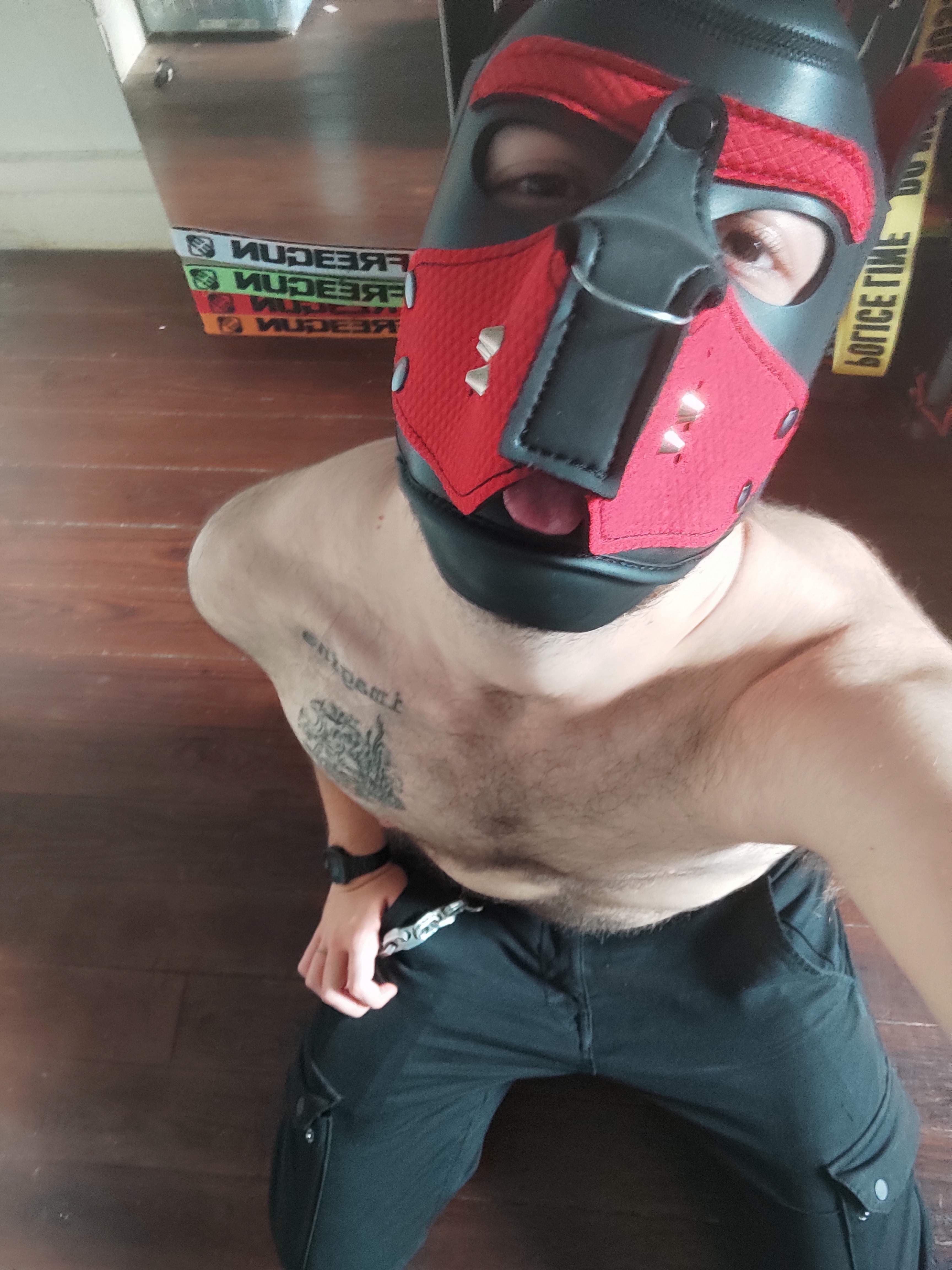 Trex The FtM Pup