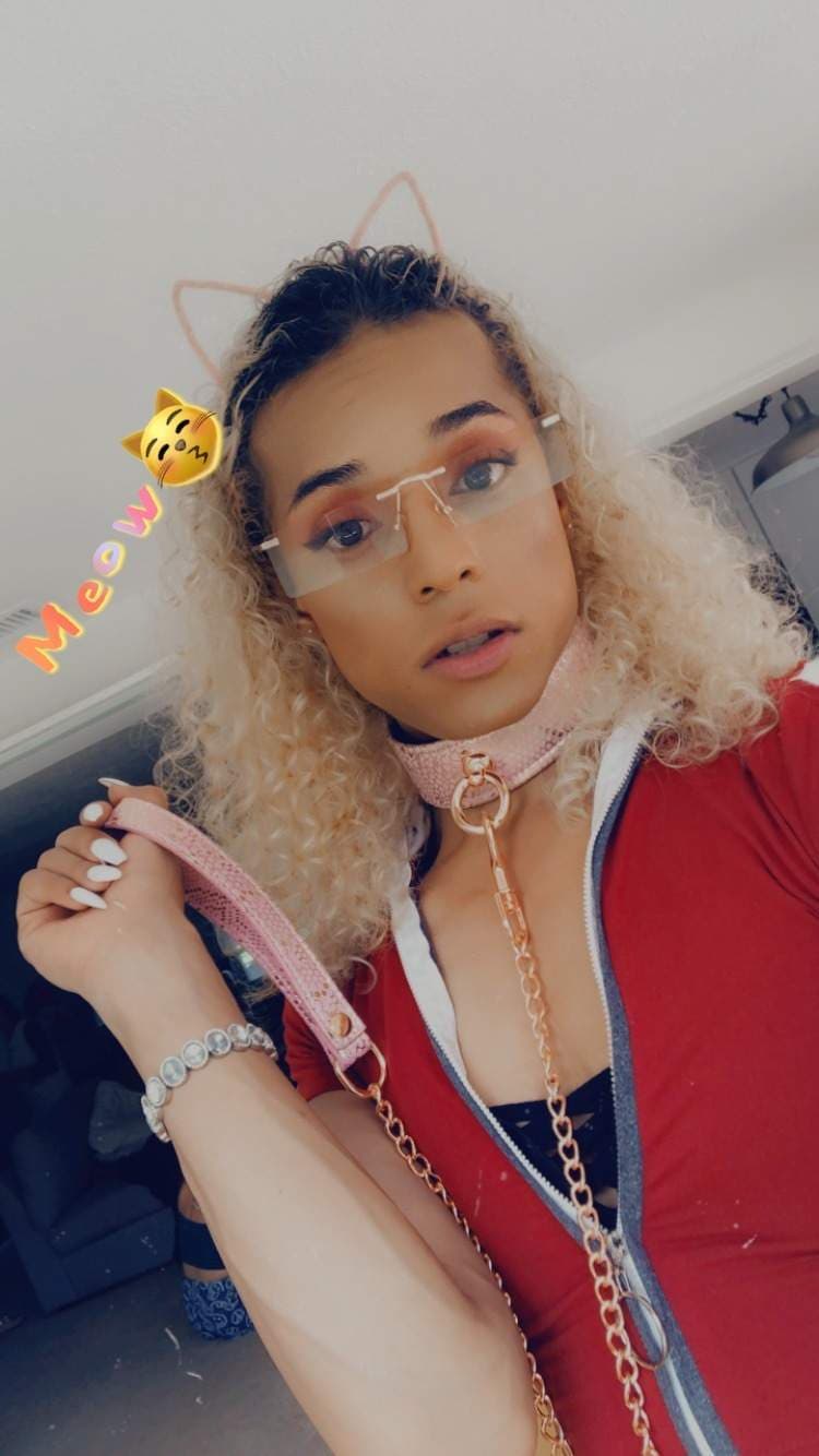 Miss. Kitten
