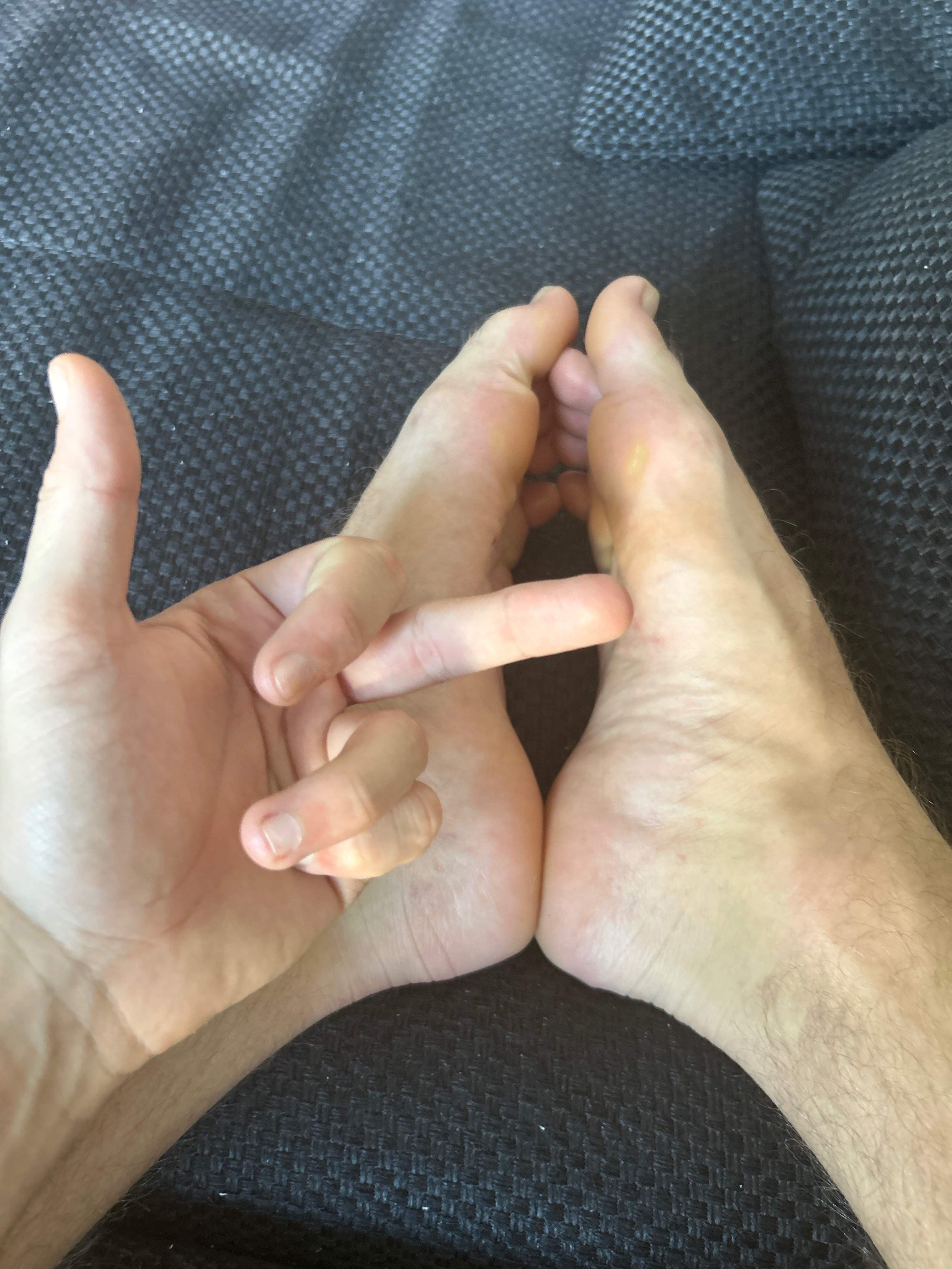 AlphaBrainBrokr