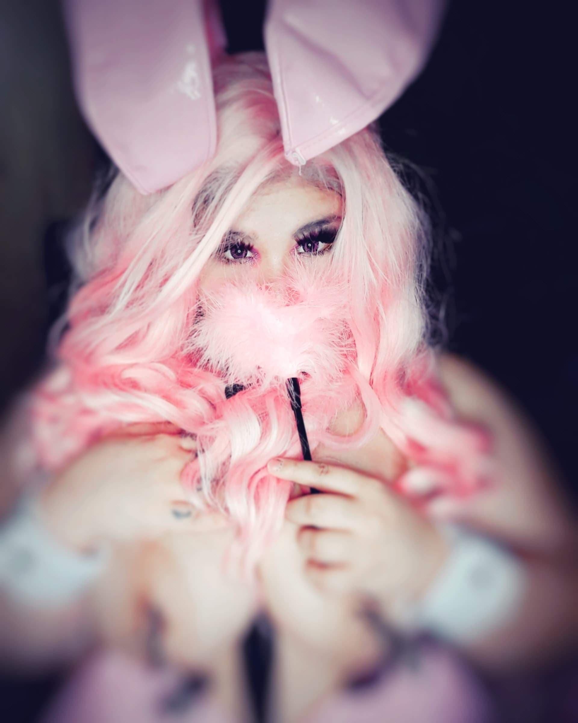 White bunny