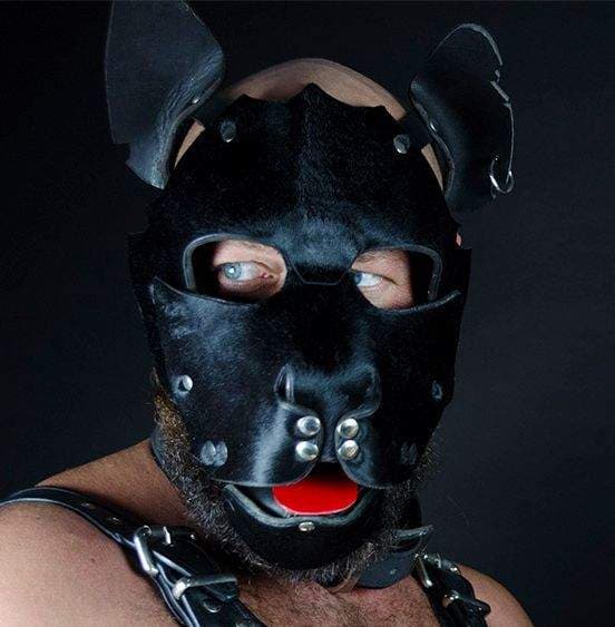 Sirius Canis Major