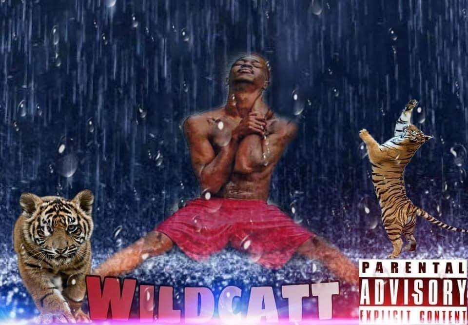 wildcatt420 🐈🐈🐈🐈🐈🐈🐈