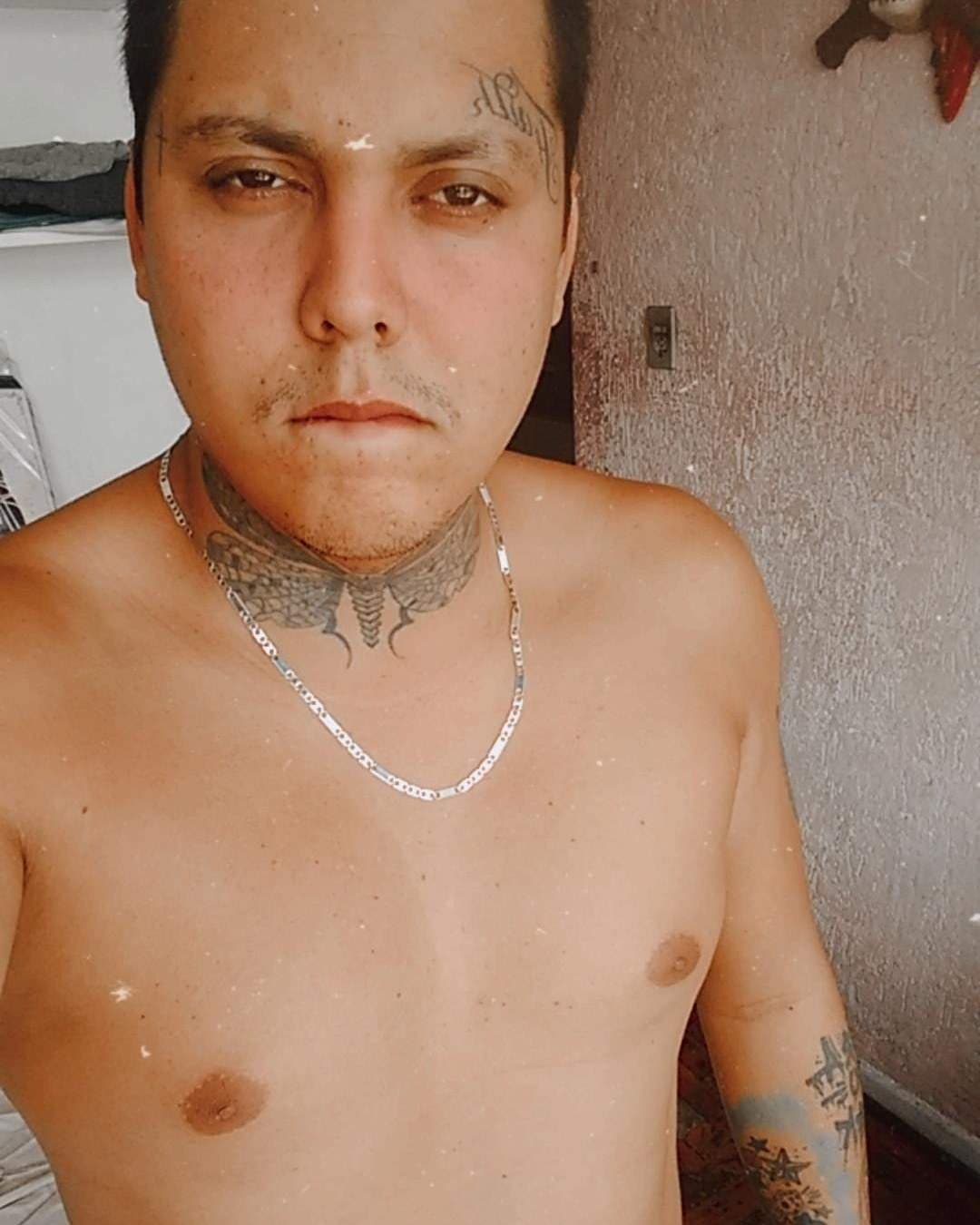 Brisa