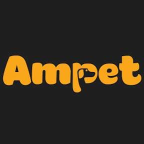 Shop thú cưng Ampet