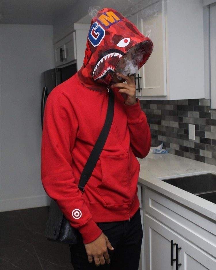 Shark 🦈💰