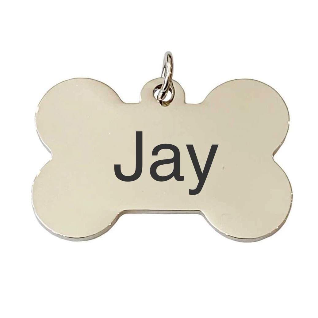 Puppy Jay