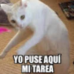Omar Enrique