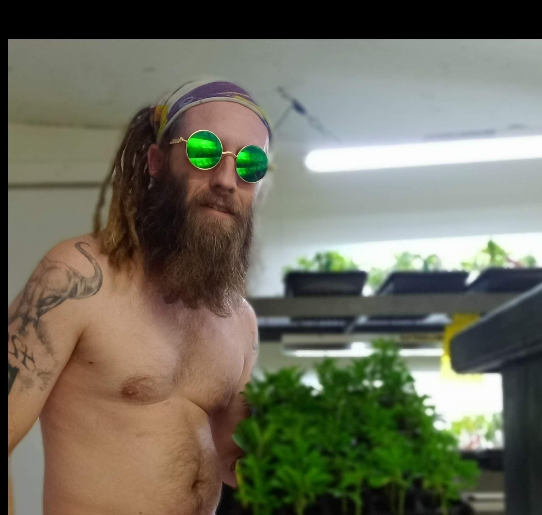 The Hippie