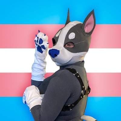 DonutPupper