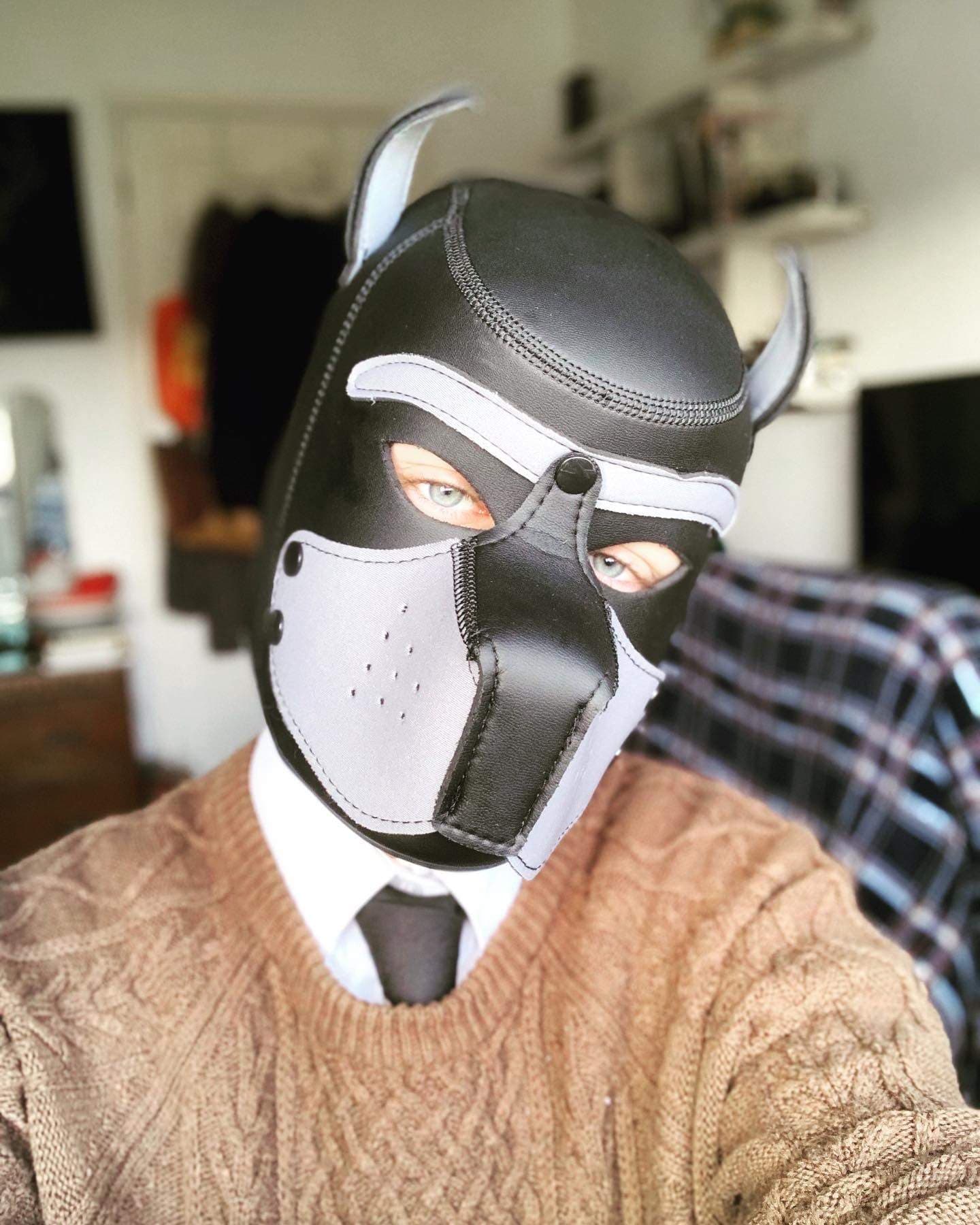Volt