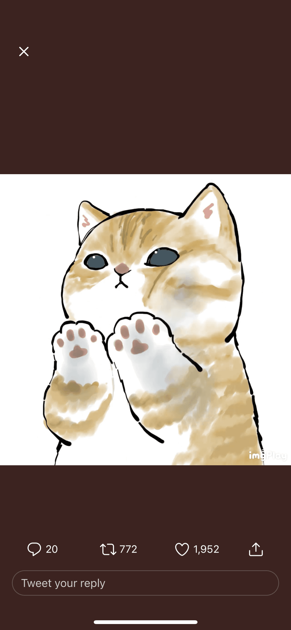 Kitty