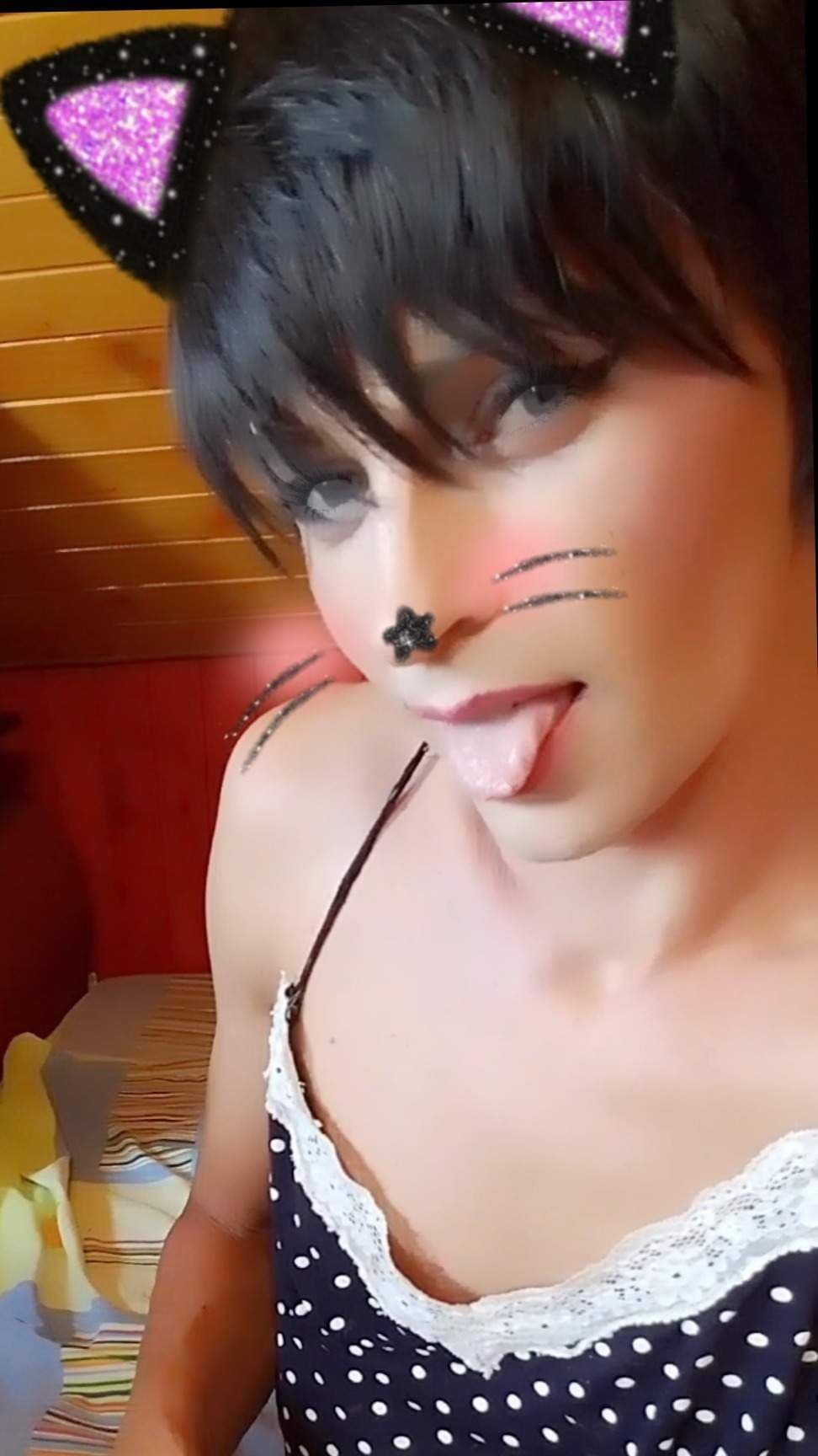 meowKittyBoy