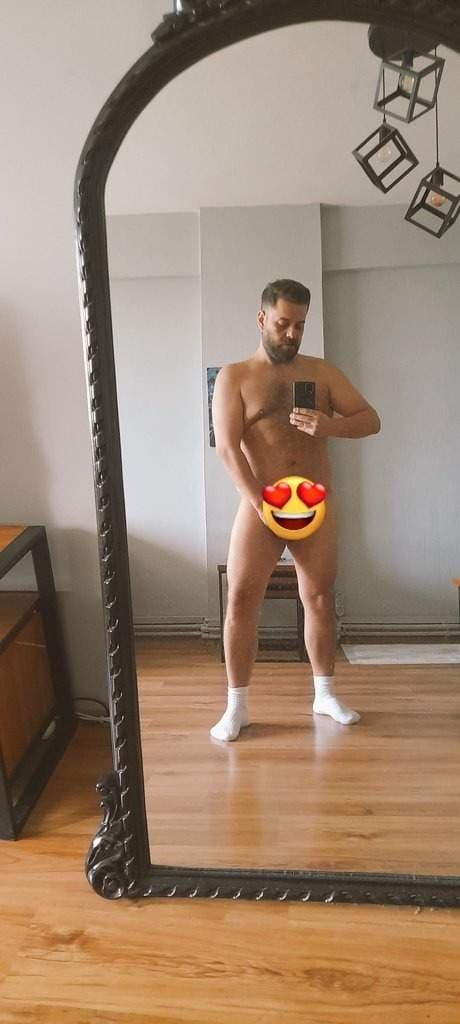Turkishgaybear